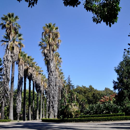 Jardim Botânico Tropical