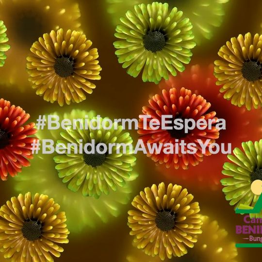 Camping Benidorm