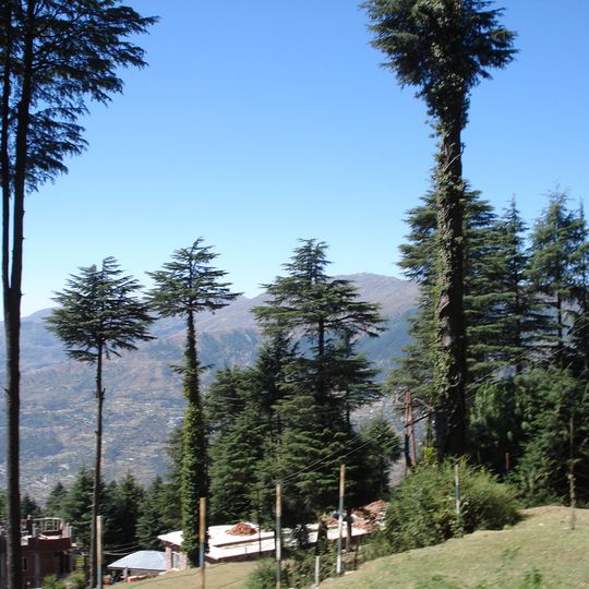 Patnitop