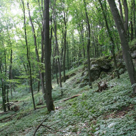 Кармалюкова гора