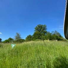 Feldgehölz und Hecke