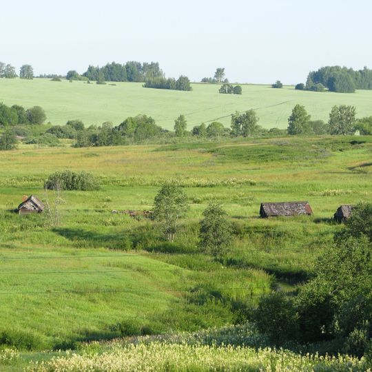 Kolchuginsky District