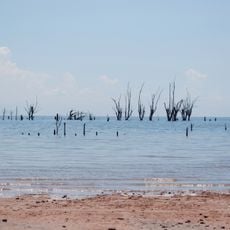 Ansenuza national park