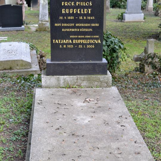 Ev. cintorín Kozia brána, hrob s náhrobkom