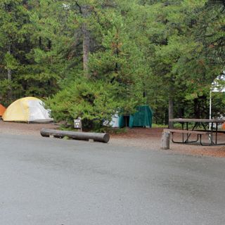 Bridge Bay Campground