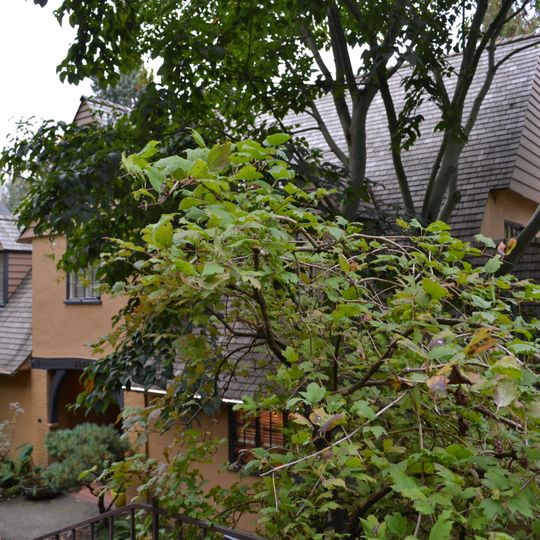 Martin Luther Pipes House