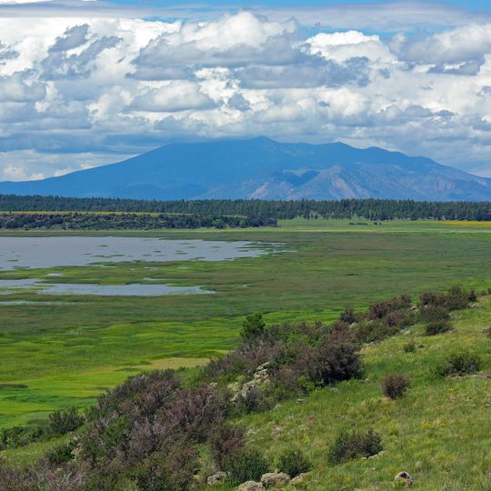 Mormon Lake