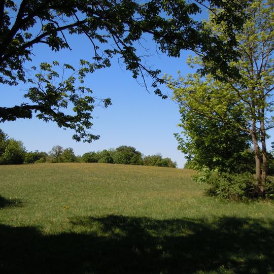 Bergwiese Schönberg