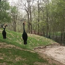 Beijing Wildlife Park