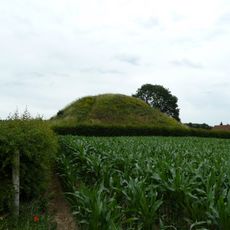Tumulus de Koninksem
