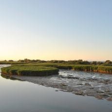 Parco regionale veneto del Delta del Po