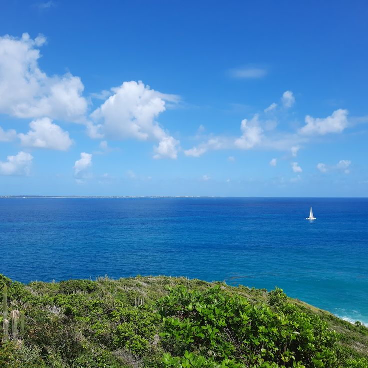 Reserva Natural de Saint-Martin