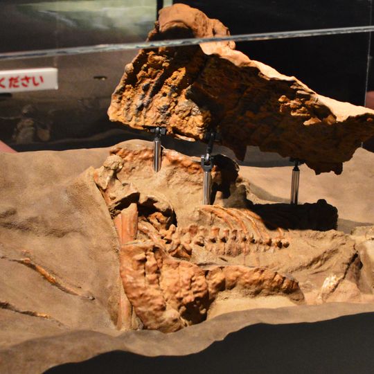 Kanai Higashiura site