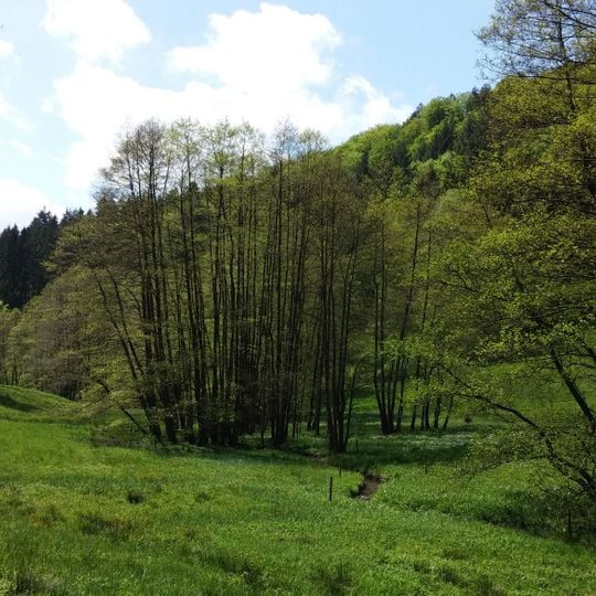 Naturschutzgebiet Eiterbachtal von Wald-Michelbach