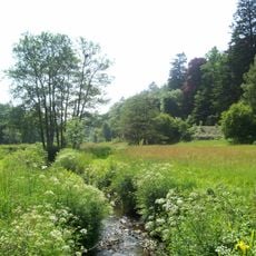 Colby Woodland Garden