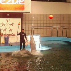Valencia's Aquarium
