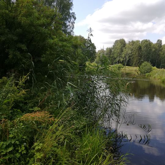 Lower Kruglozalny pond in Pavlovsk park