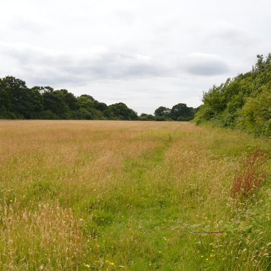 Oxley Meadow