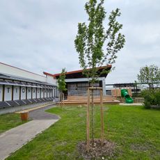 Nationalpark Informationszentrum