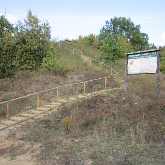 Rezerwat przyrody Góra Uszeście