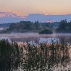 Hnizdyshchanska Dacha