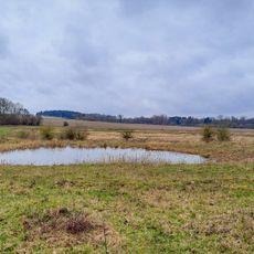 Lanker See und Kührener Teich