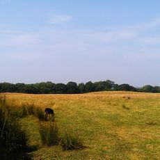 Round barrow cemetery on Broad Down