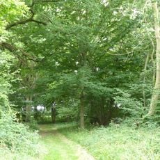 Thorpe Morieux Woods