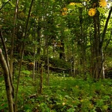 Sakaiņi hillfort