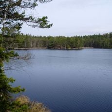Trehörningen