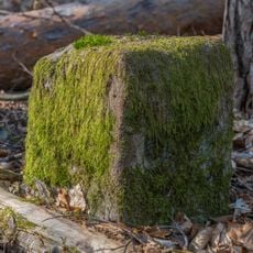 Grenzstein Untere Gemeinde in Fürth
