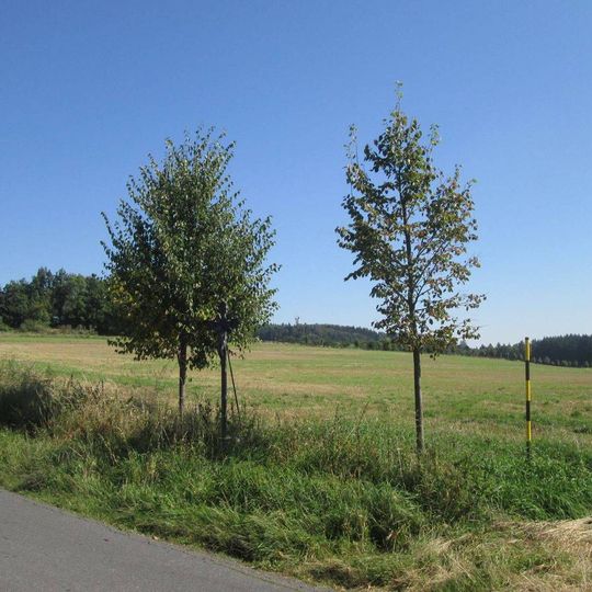 Kříž u rozcestí nad Petříkovem