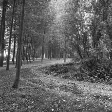 Zwaanwijck: park