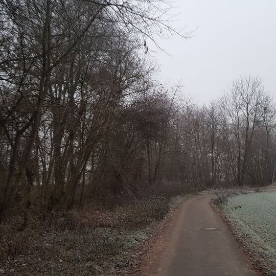 Wasserschutzgebiet Impfingen