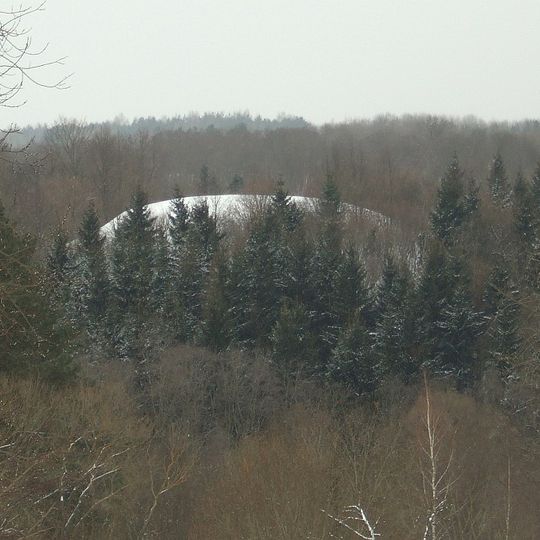 Wallburg Rokantiškės