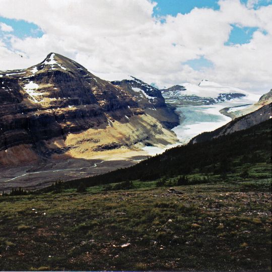 Saskatchewan Glacier