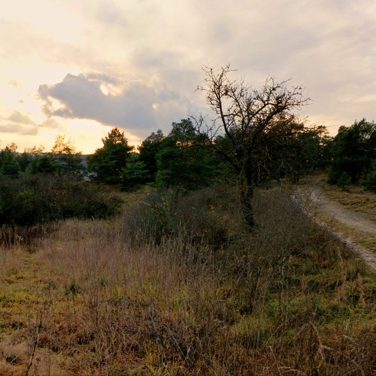 Maintalhänge zwischen Gambach und Veitshöchheim