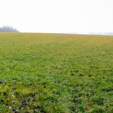 Terrein met een wierde