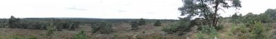 Panoramautsikt 1