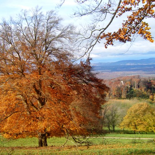 Schönberg mit Schwarzwaldhängen