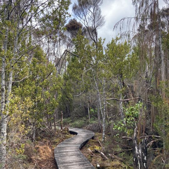 Alborns Coalmine Walk