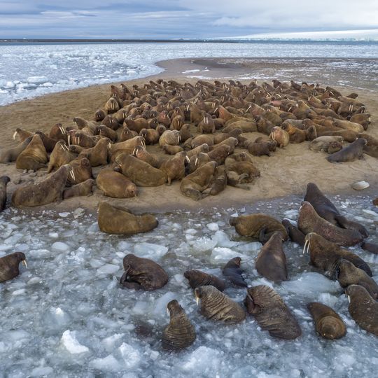 Parco nazionale dell'Artico russo