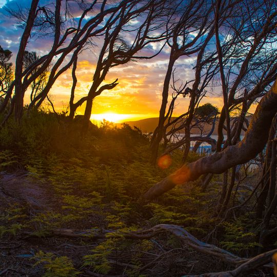 Granite Beach, Tasmania