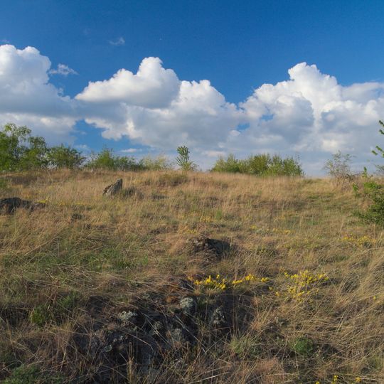 Fládnitzské vřesoviště