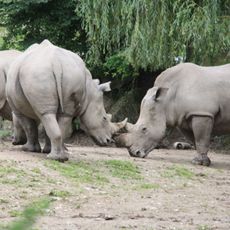Salzburg Zoo
