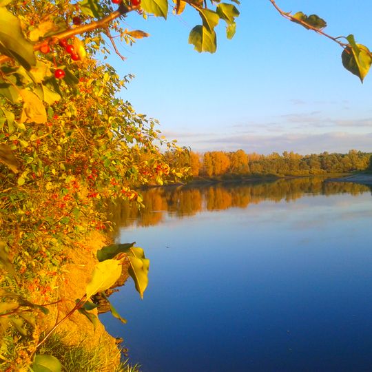 Ust'-Kalmanskij rajon