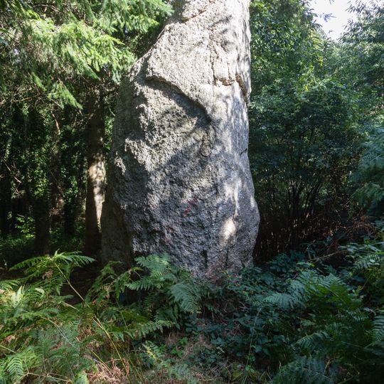 Menhir de la Roche-Longue à Saint-Julien