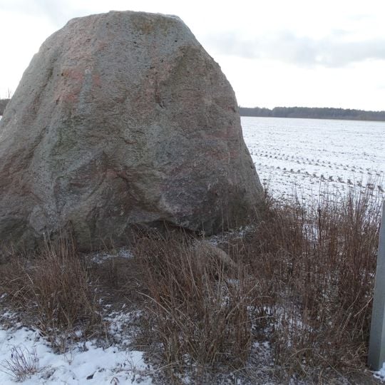 Naujamiestis boulder