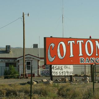 Cottontail Ranch