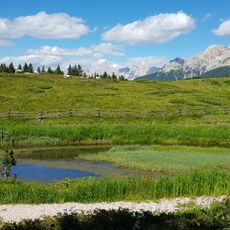 Torbiere del Lavaze'